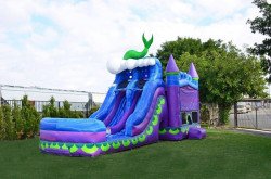 18ft Double Ln Purple Wave From $499