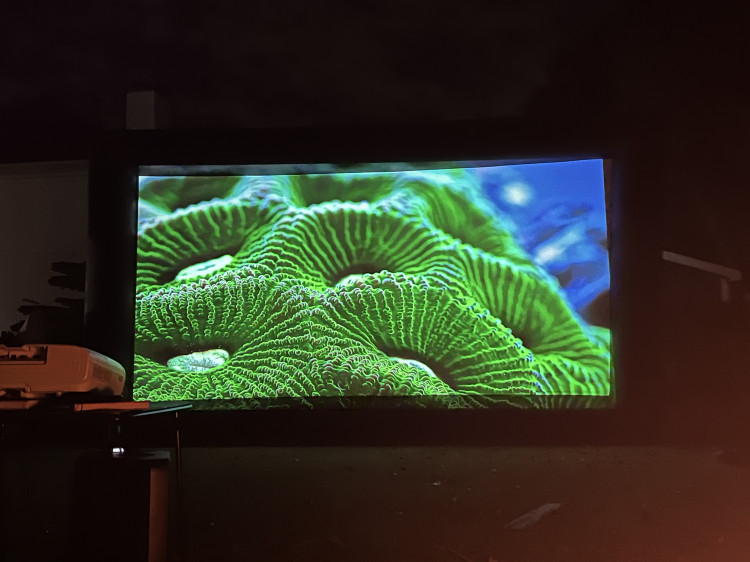 20 Foot Outdoor Movie Night $299